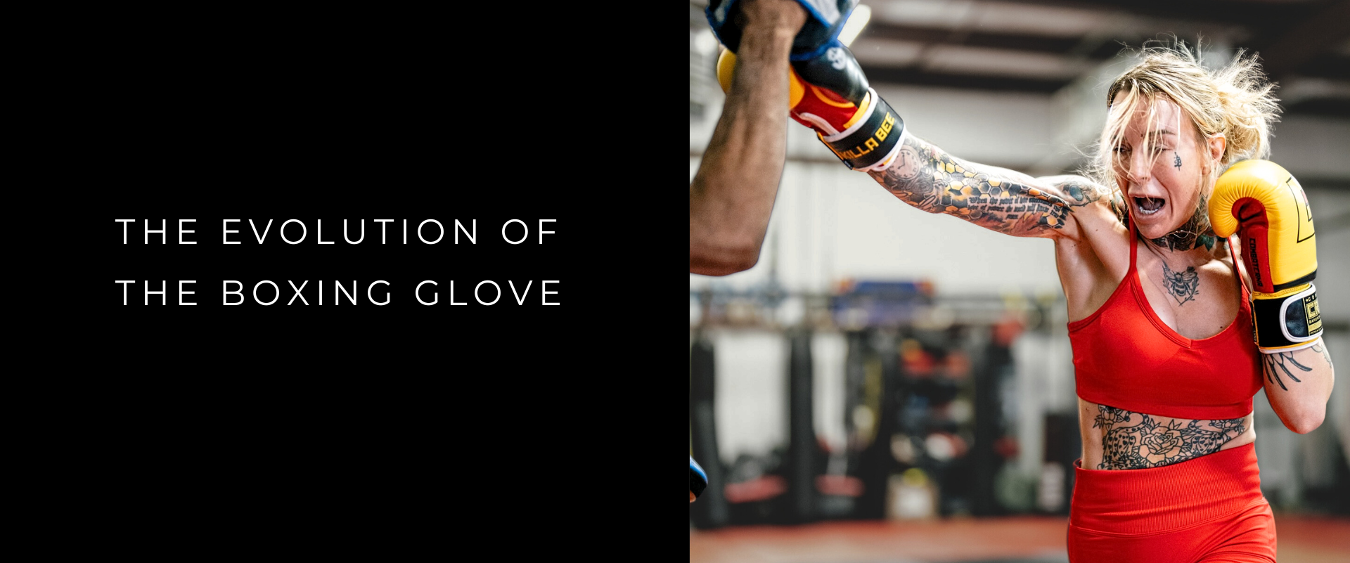 Cover image for Combat Corner's blog article The Evolution of the Boxing Glove, an article about the history of boxing gloves.