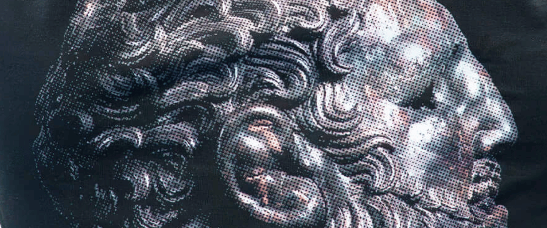 Close-up detail photo of the rear view of the black Combat Corner HWD Ancient T-Shirt featuring a detailed metallic print of an ancient philosopher's statue bust with red text.