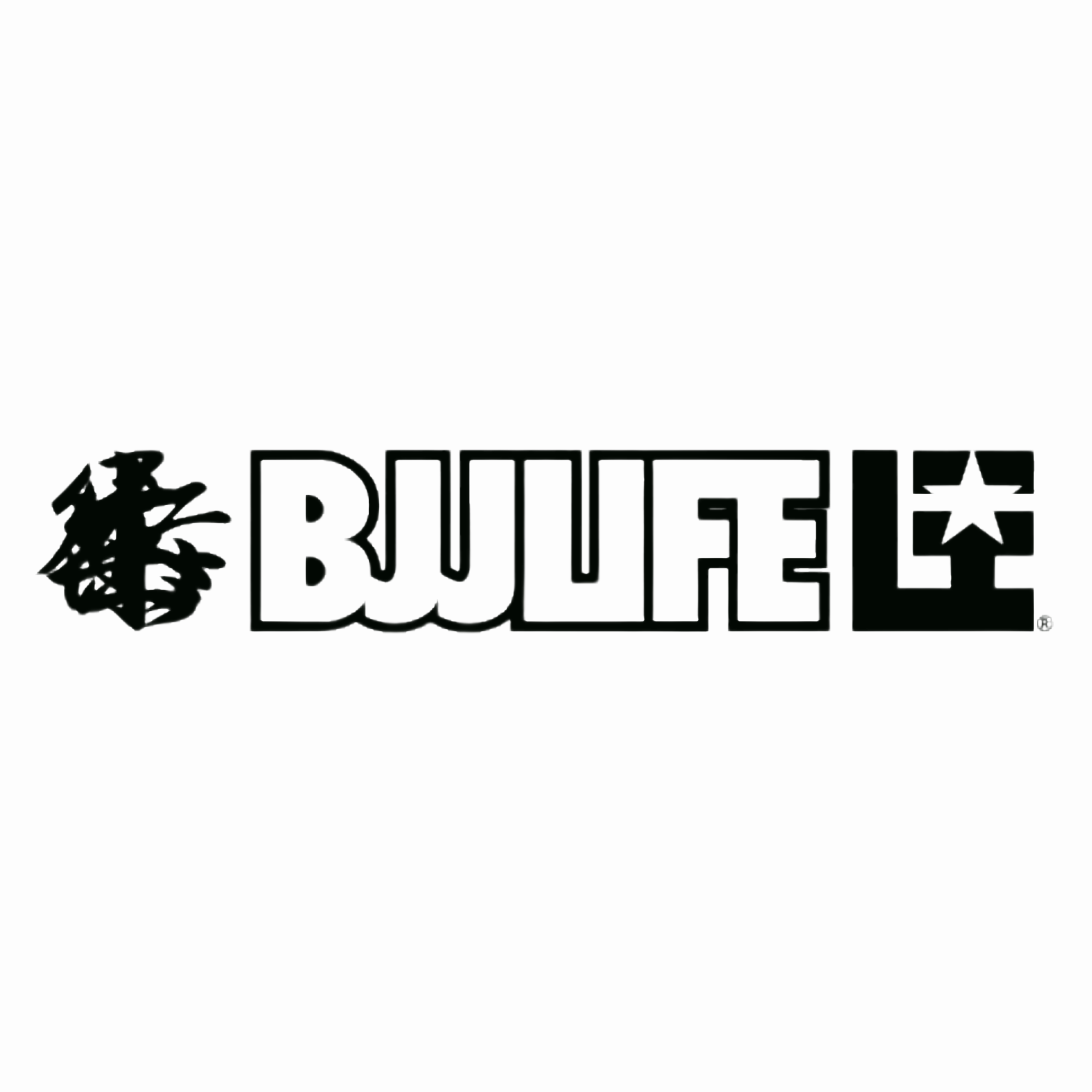 Logo for BJJ Life
