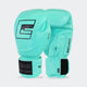 HMIT Boxing Gloves | Mint