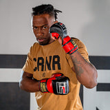 Photo of an athlete training with the red Combat Corner HMIT MMA Training Glove